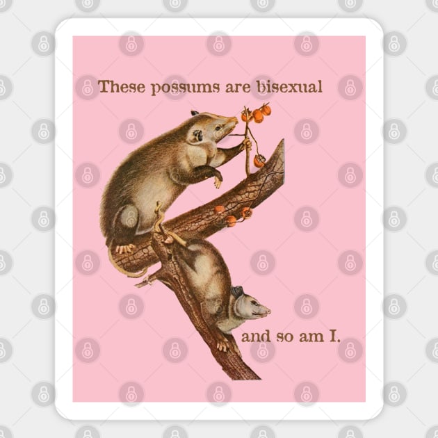 These Possums Are Bisexual and So Am I Magnet by cobwebjr